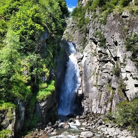 Silene * Le Bourg-d'Oisans